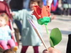 Diada de Sant Jordi !!!!