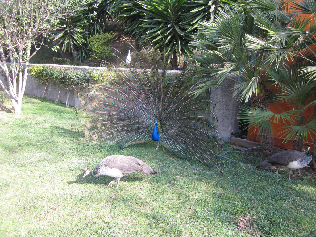 Excursió al Zoo