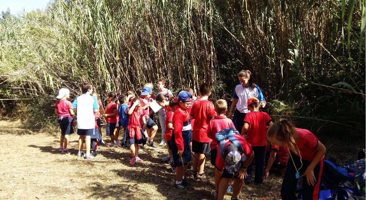 Inaguració de curs Primària