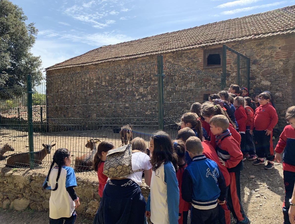 Colònies a 1r de Primària