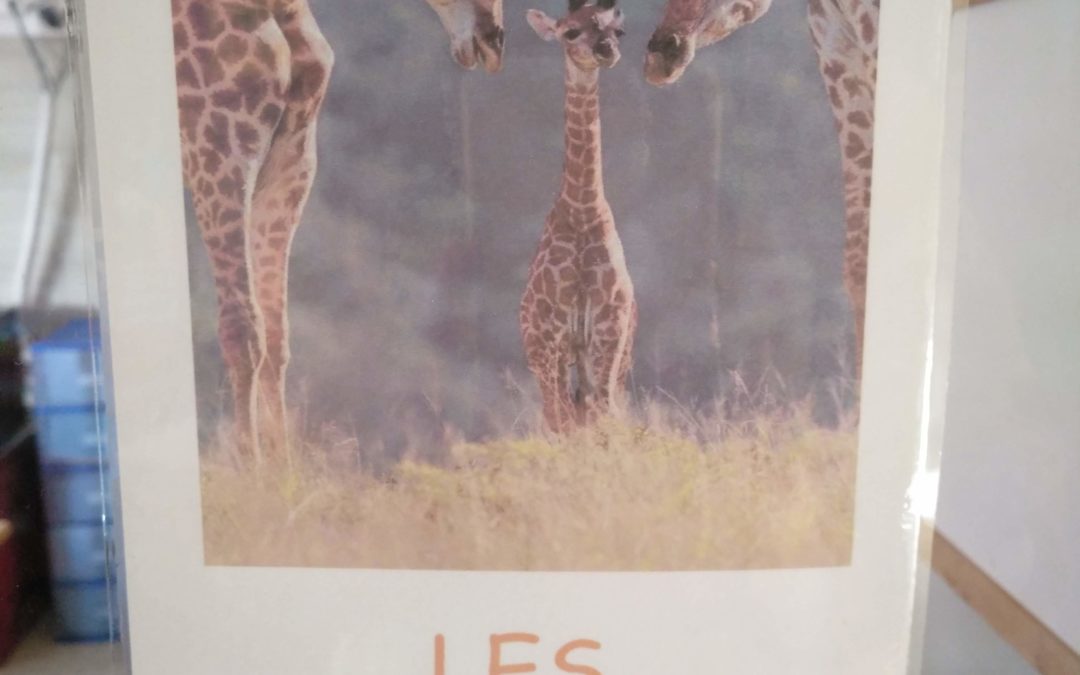 P3B La classe de les girafes