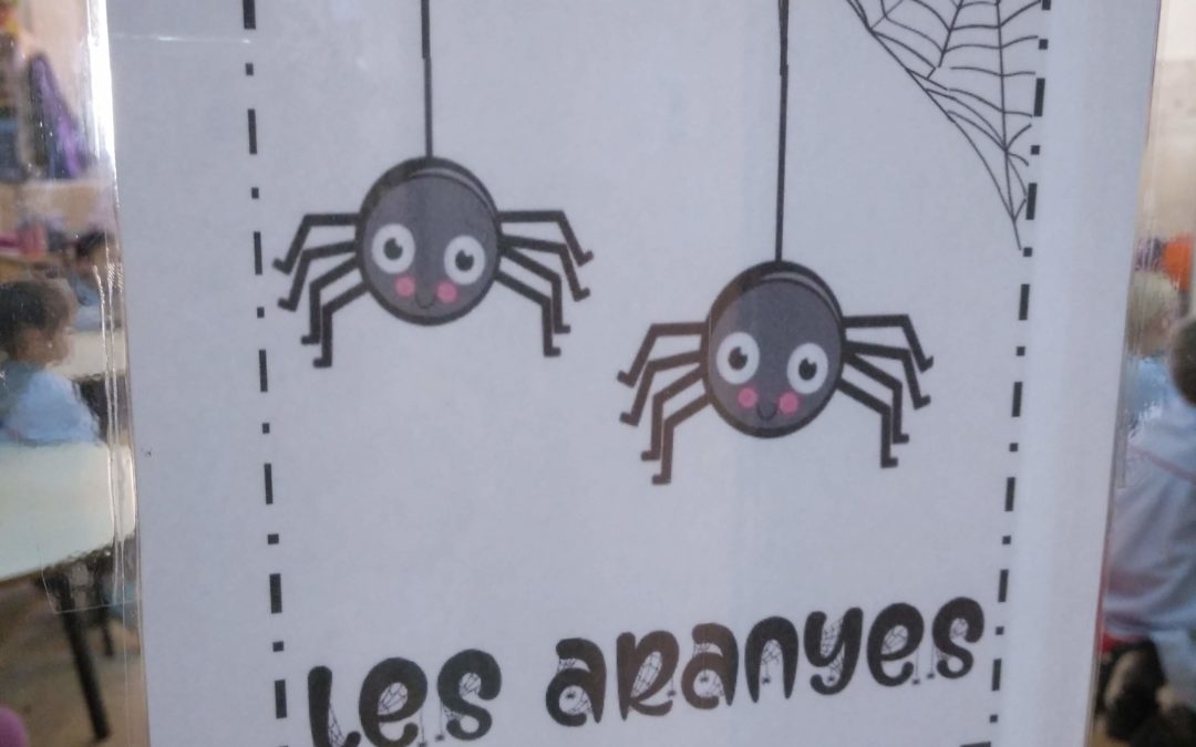 P5A la classe de les Aranyes