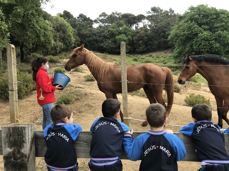 Excursió P4 “Can Montcau”