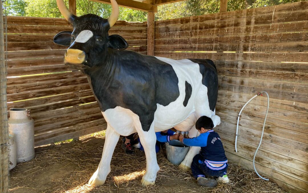 I3 d’excursió al Xaragall