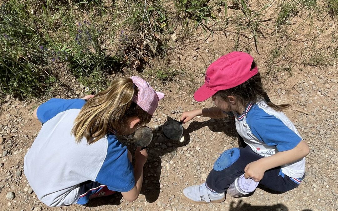 I5 de colònies a Can Puig